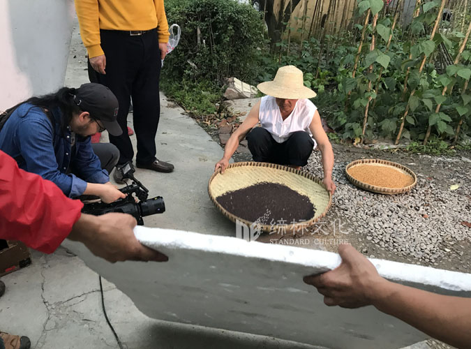 天府香熟香菜油宣傳片拍攝現場